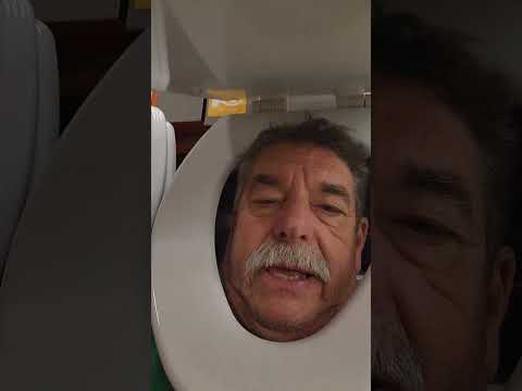 Toilet seat shopping